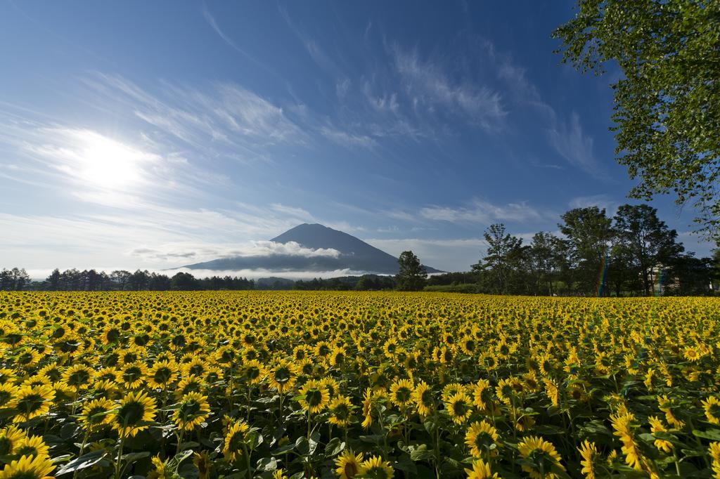 Kimamaya By Odin Niseko Esterno foto